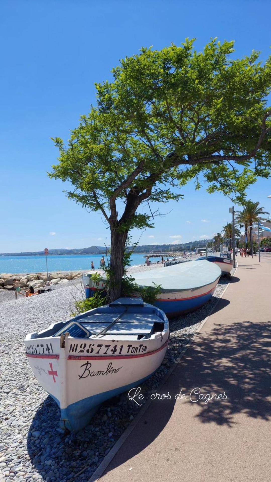 Cocon Douillet Face A La Mer De Cagnes Sur Mer Экстерьер фото